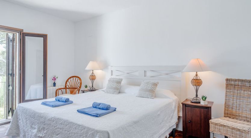 Photo of Flor de la Neu