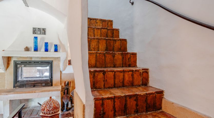 Photo of Flor de la Neu