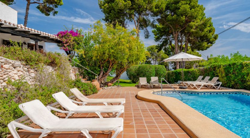 Photo of Flor de la Neu