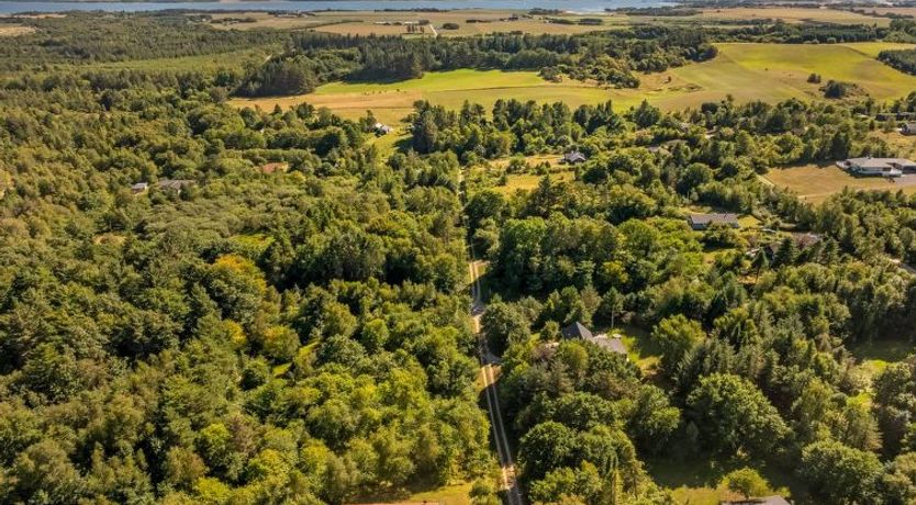 Photo of "Elizabeth" - 150m to the fjord