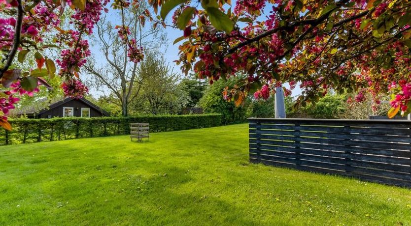 Photo of "Prohor" - 150m from the sea