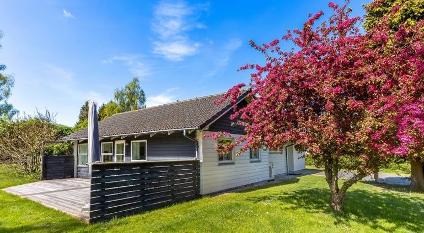 Photo of "Prohor" - 150m from the sea