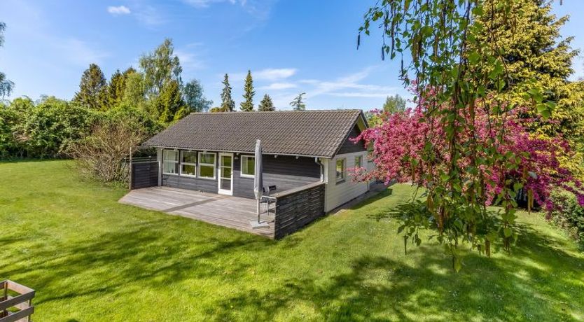 Photo of "Prohor" - 150m from the sea