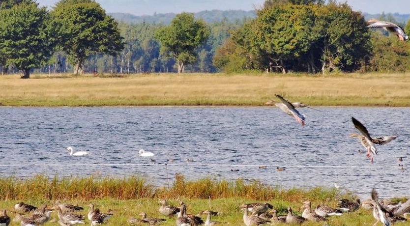 Photo of "Margareta" - 250m to the fjord