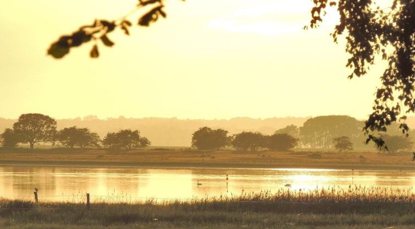 Photo of "Margareta" - 250m to the fjord