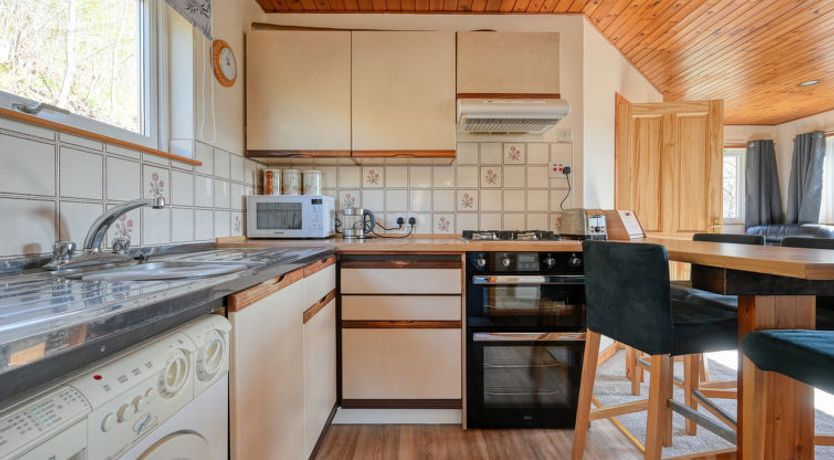 Photo of Forest View