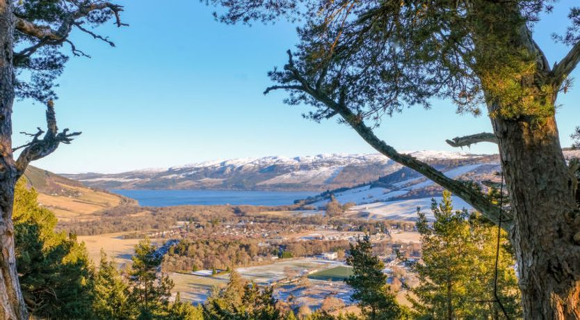 Photo of Forest View