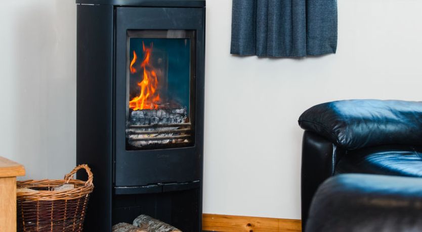 Photo of Forest View