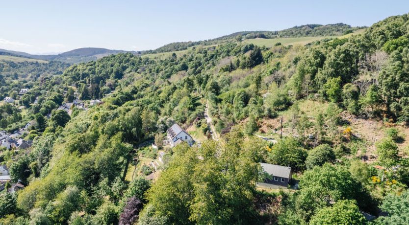 Photo of Forest View