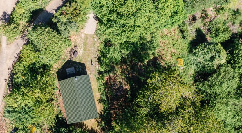 Photo of Forest View