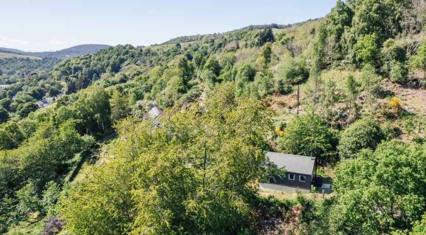 Photo of Forest View