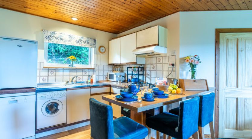 Photo of Forest View