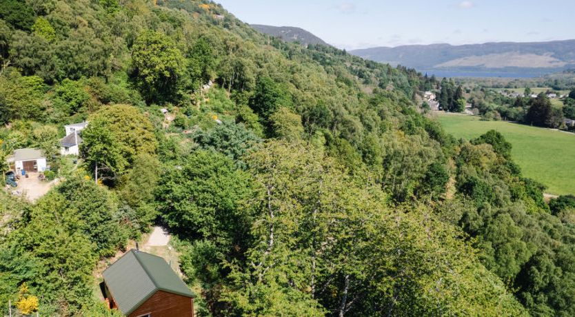 Photo of Forest View