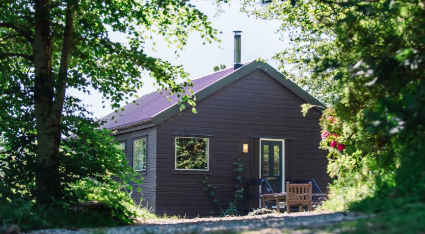 Photo of Forest View