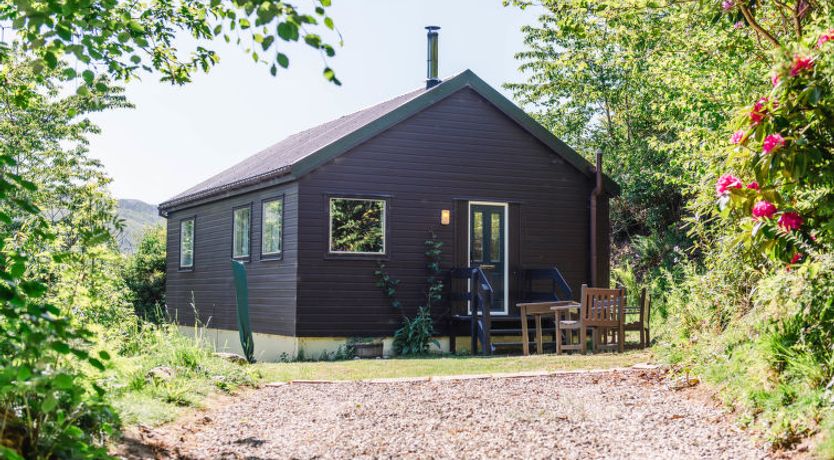 Photo of Forest View