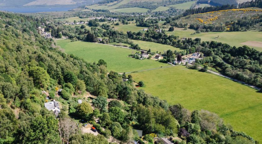 Photo of Forest View