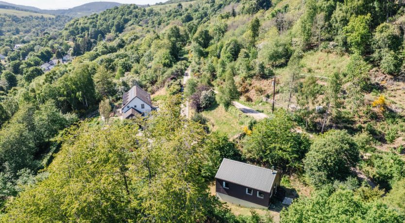 Photo of Forest View