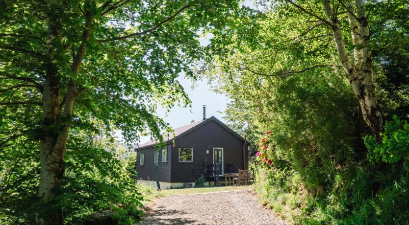 Photo of Forest View