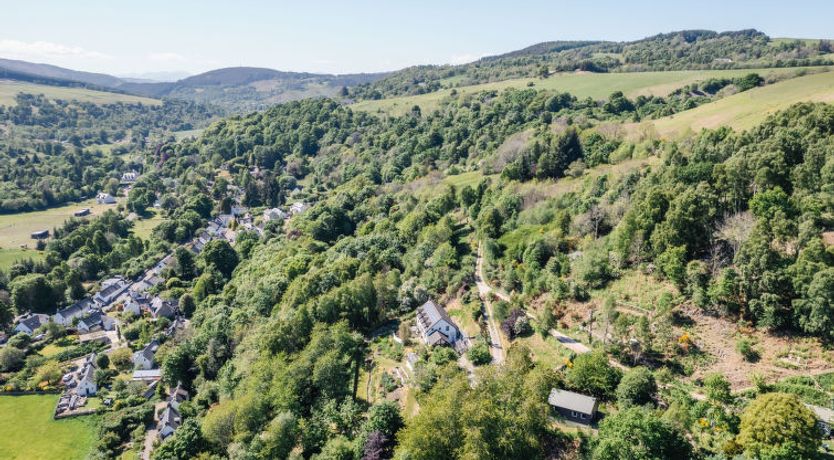 Photo of Forest View