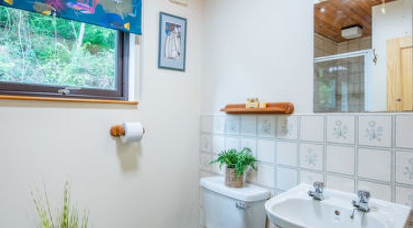 Photo of Forest View