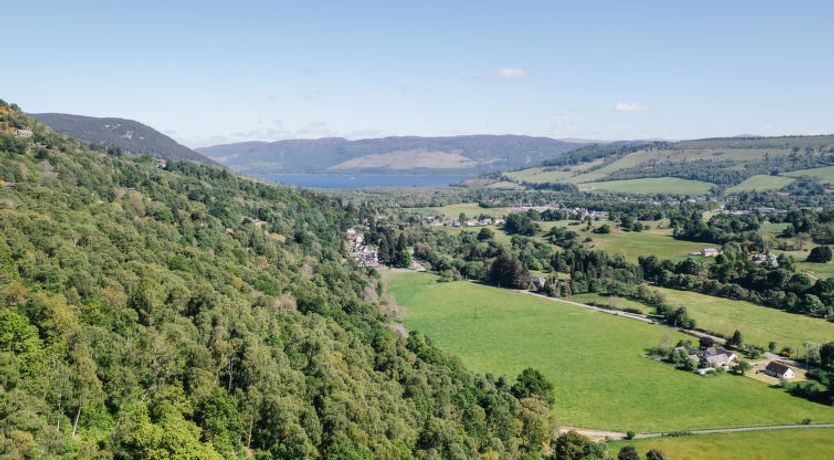 Photo of Forest View