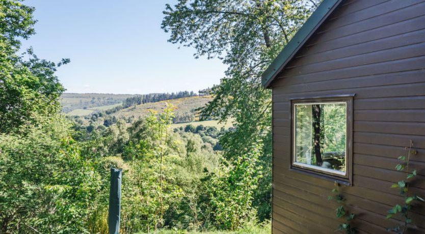 Photo of Forest View