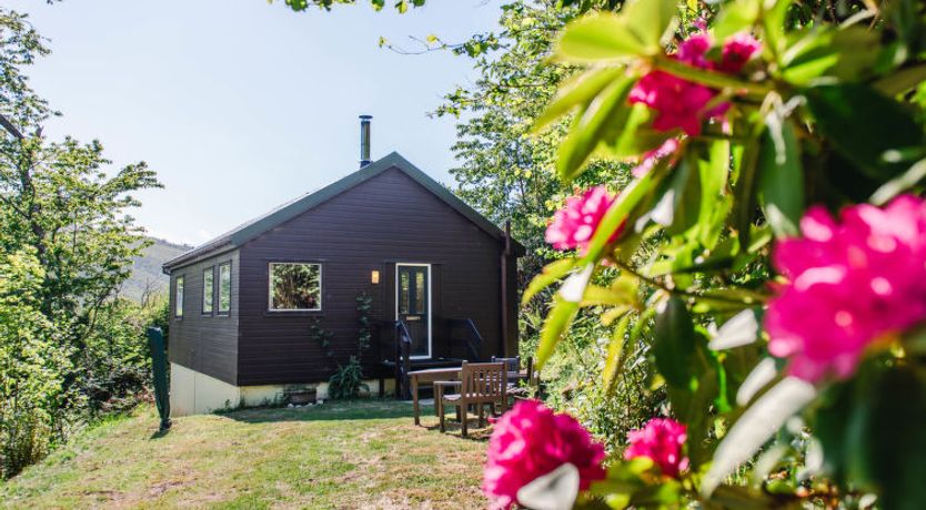 Photo of Forest View