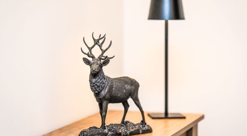 Photo of Varis Haven