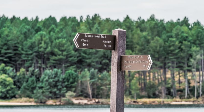 Photo of Varis Haven