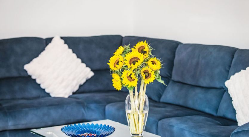 Photo of Varis Haven