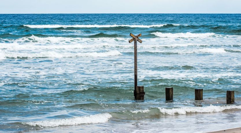 Photo of Varis Haven