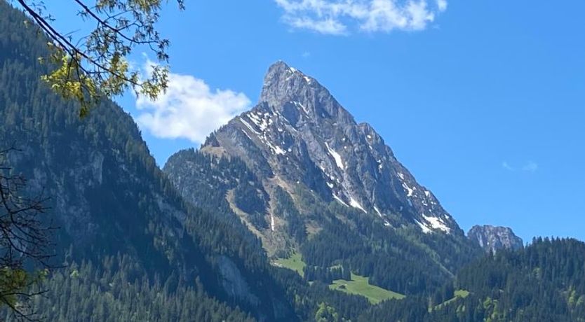 Photo of Malgré-tout