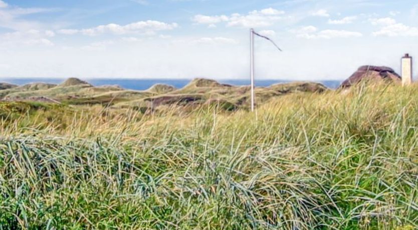 Photo of "Hoat" - 300m from the sea