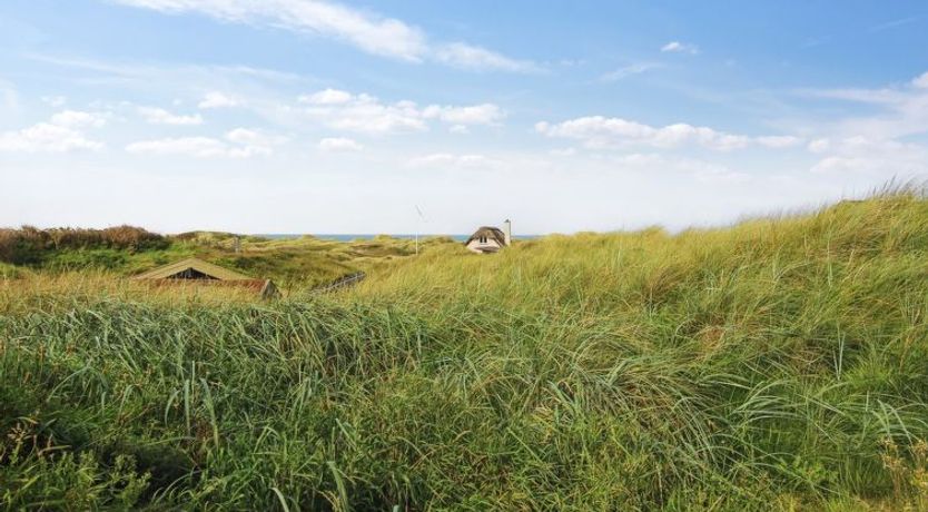 Photo of "Hoat" - 300m from the sea