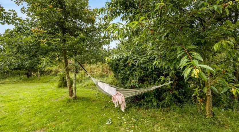 Photo of "Jarmunrek" - 400m to the fjord