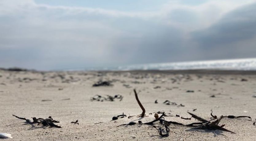 Photo of "Durita" - 600m to the fjord