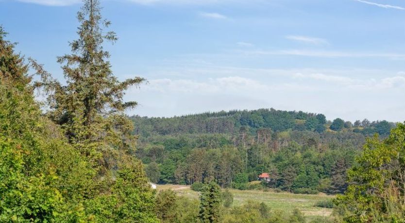 Photo of "Amai" - 1.5km from the sea