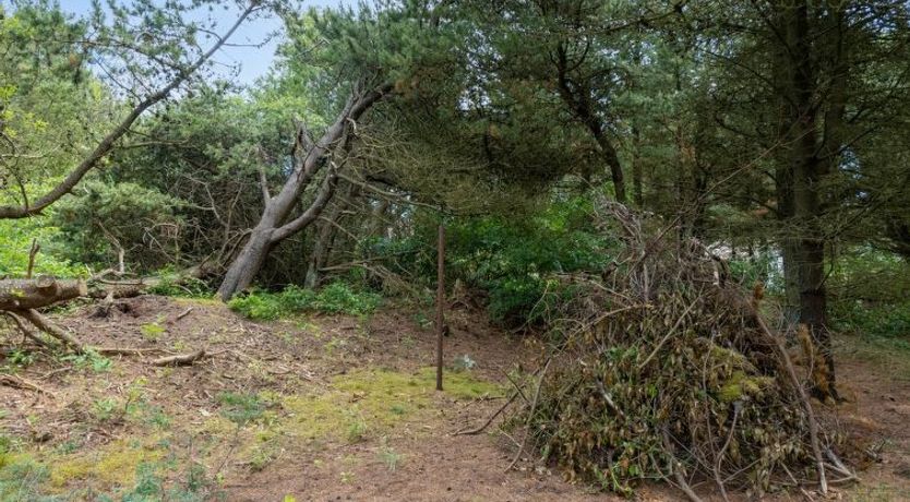 Photo of "Magga" - 3.2km from the sea