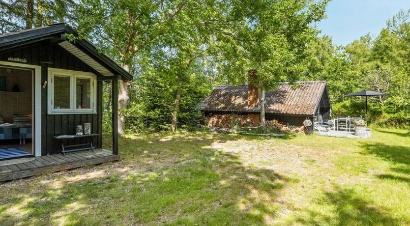 Photo of "Alika" - 200m to the fjord