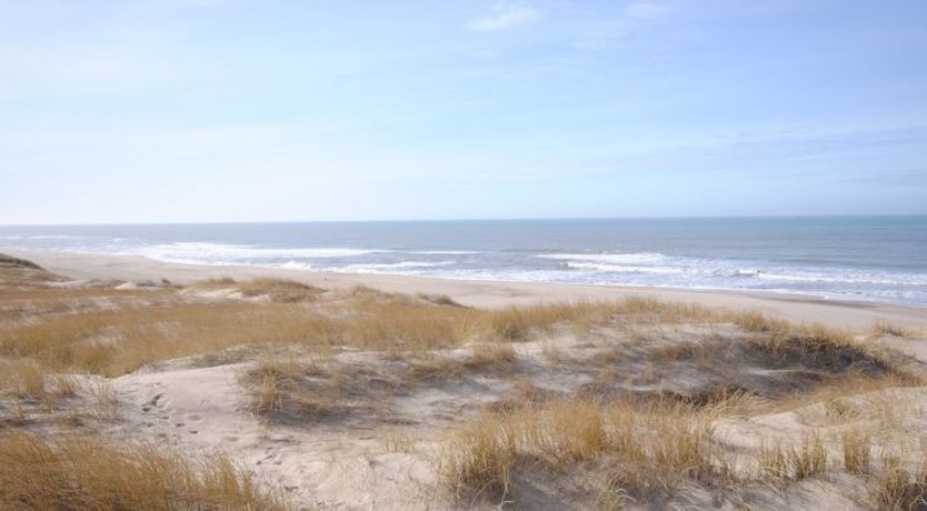 Photo of "Elfrun" - 250m from the sea