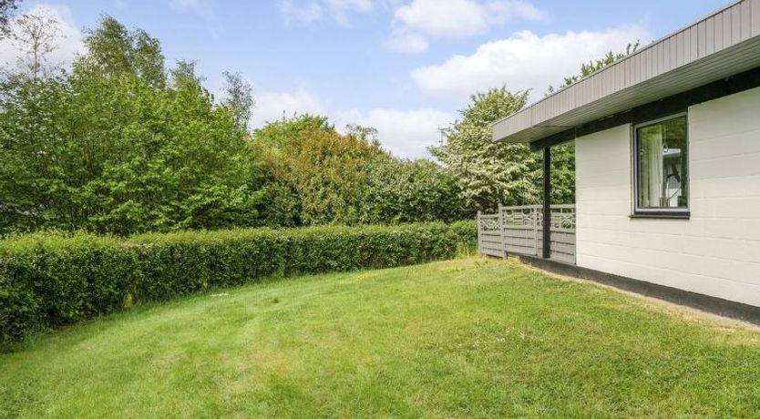 Photo of "Yak" - 350m from the sea