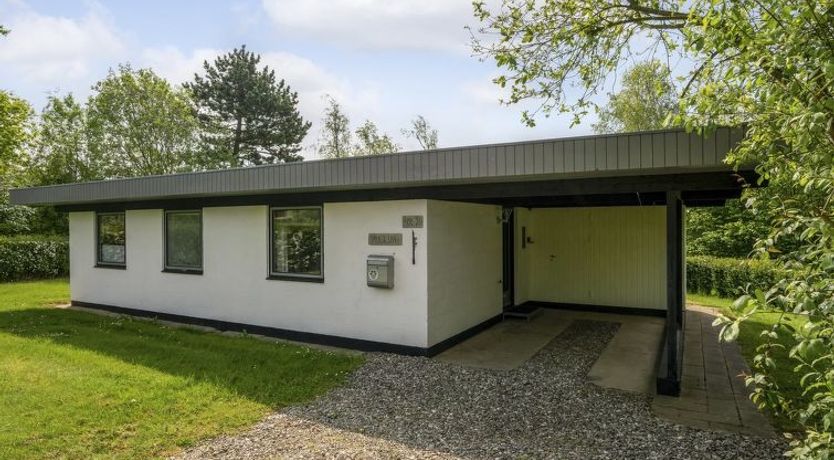 Photo of "Yak" - 350m from the sea