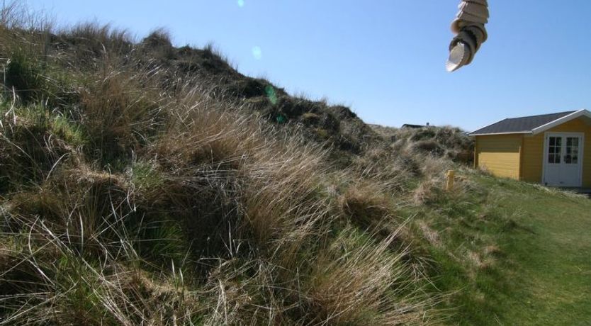 Photo of "Esa" - 500m from the sea