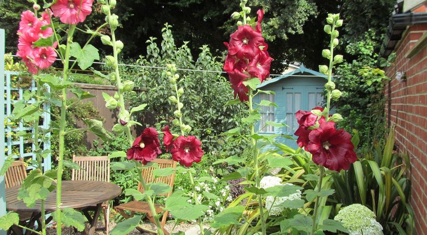 Photo of 2 Bed in Saxmundham