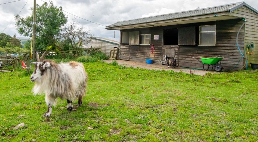 Photo of 1 Bed in Haltwhistle