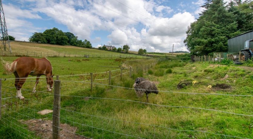 Photo of 1 Bed in Haltwhistle