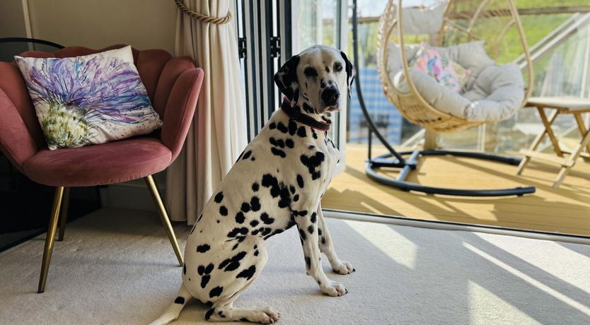 Photo of 4 Bed in Mortehoe