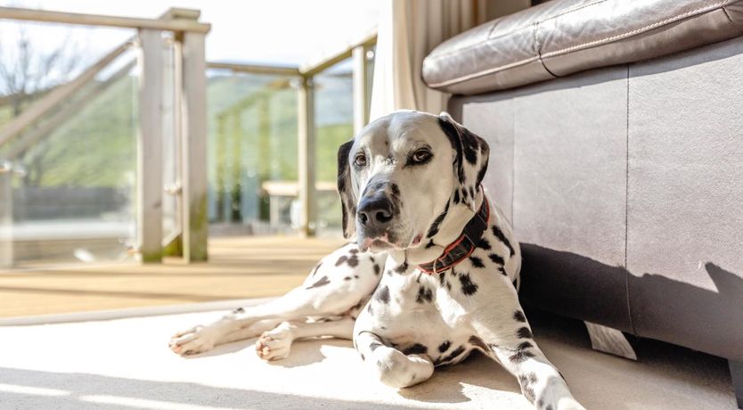 Photo of 4 Bed in Mortehoe