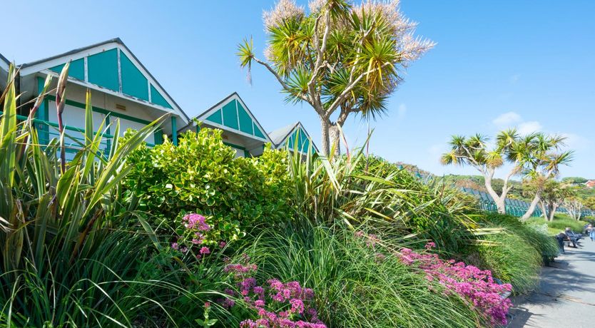 Photo of 2 Bed in Mumbles