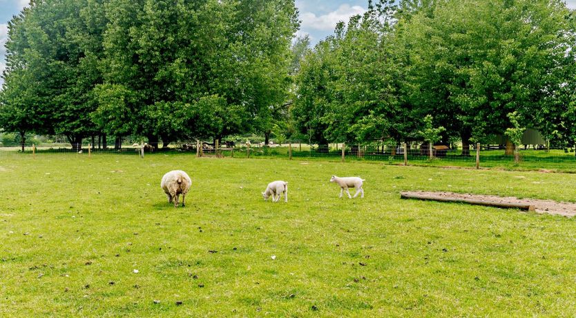 Photo of 3 Bed in Barsham